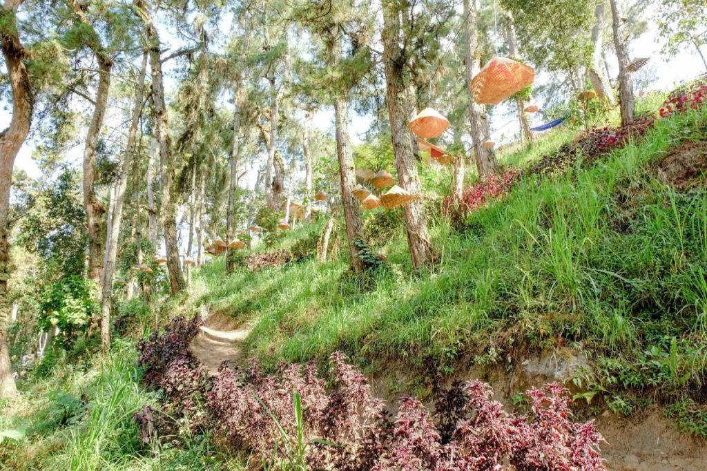 Oyo 1175 Oemah Djowo Resort Magetan Ngoại thất bức ảnh